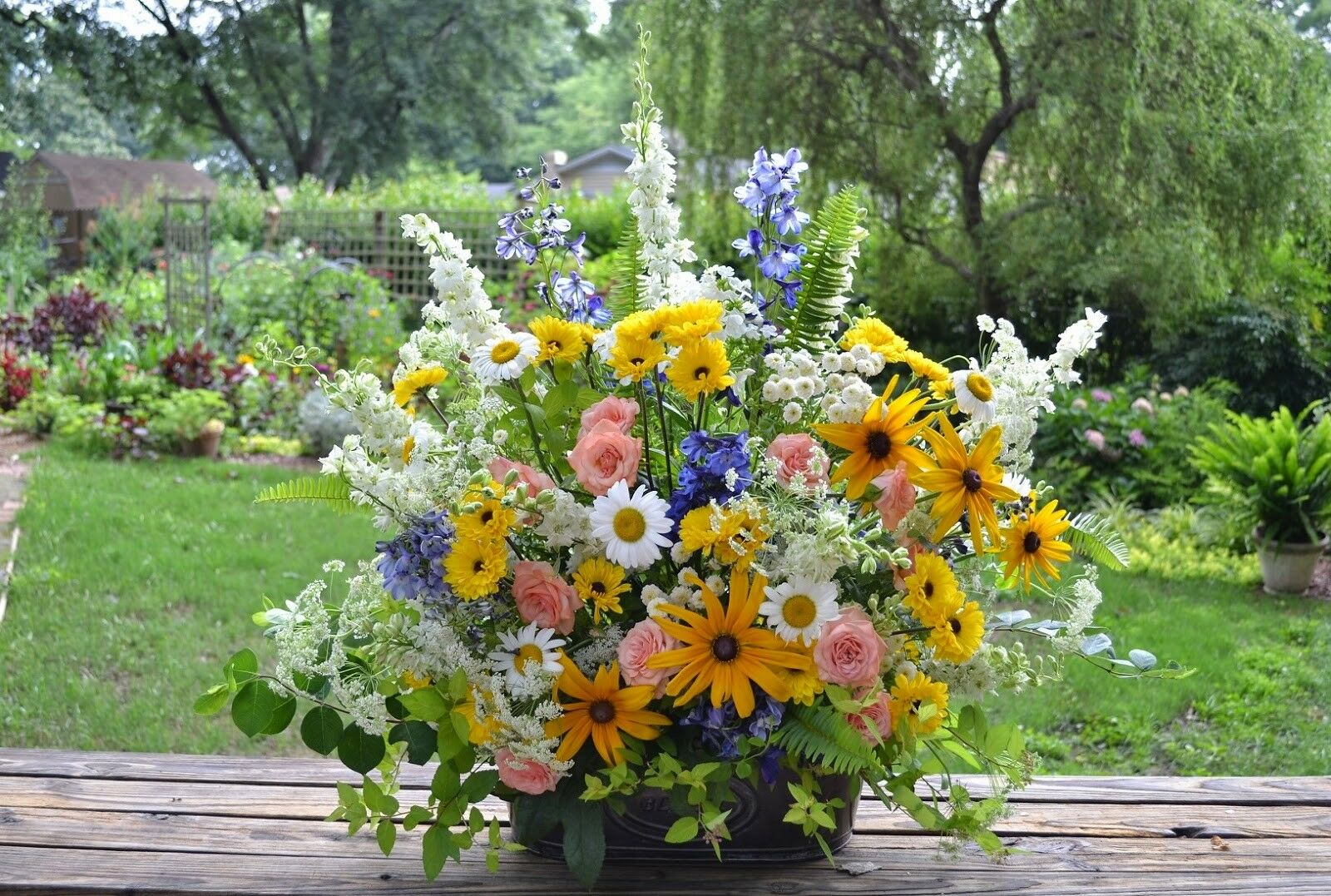 Black Eyed Susan 1000 - 160K Seeds Rudbeckia Hirta Yellow Wildflower Beautiful