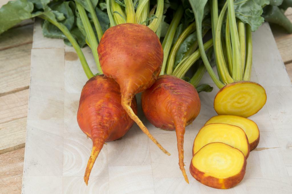 Burpee's Golden Beets {30,100,200,400} Seeds Heirloom treated 55 days Bulk