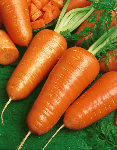 Chantenay Red Core Carrot Seeds 300, 600, 1000, 2000, 5000 seed lots Gold-orange
