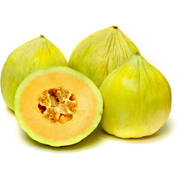 Crenshaw melon 35 - 1 LB Seeds Cantaloupe Can weigh up to 10 LBS! Sweet