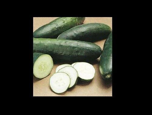 Cucumber Straight Eight seeds (25 through 400 seeds) Heirloom high yields 8 bulk