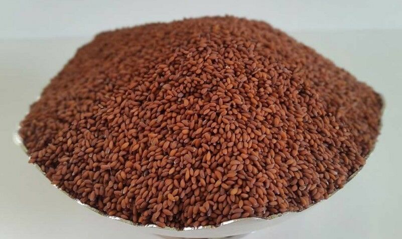 Curly Garden Cress seeds (200 - 12,800) peppergrass wort Halim Aliv CHANDRASHOOR