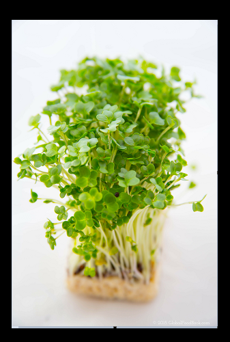 Curly Garden Cress seeds (200 - 12,800) peppergrass wort Halim Aliv CHANDRASHOOR