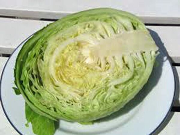 Golden Acre Cabbage 200 - 16,000 seeds Heirloom Healthy Green tender Leaves Bulk