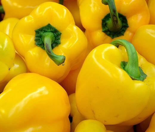 Golden California Wonder Bell Pepper 20 - 16,000 Seeds Sweet Bulk Yellow Rare