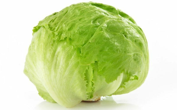 Iceberg heading lettuce 1000 - 40,000 seeds bulk heirloom crisp non GMO healthy