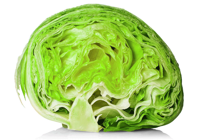 Iceberg heading lettuce 1000 - 40,000 seeds bulk heirloom crisp non GMO healthy