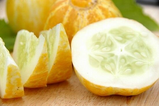 Lemon Cucumber Seeds (50 - 4000 1/4lb) Heirloom unique canning rare pickling OP