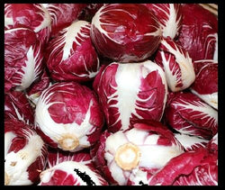 Radicchio Rouge De Verona 100 - 140K 8 Oz Seeds (1/2 LB) Beautiful Red Chicory