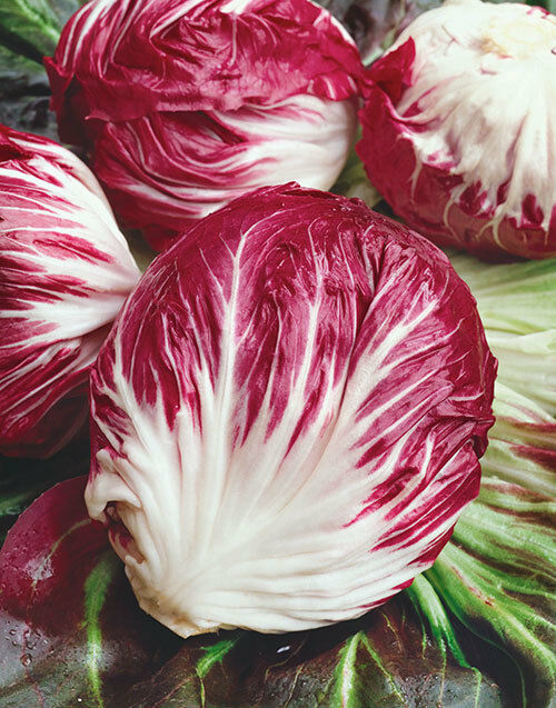 Radicchio Rouge De Verona 100 - 10,000 Seeds Beautiful Red Chicory Bulk