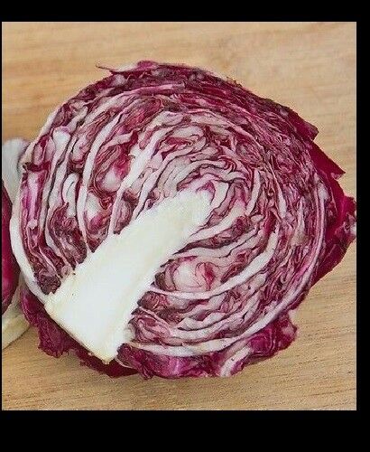 Radicchio Rouge De Verona 100 - 10,000 Seeds Beautiful Red Chicory Bulk