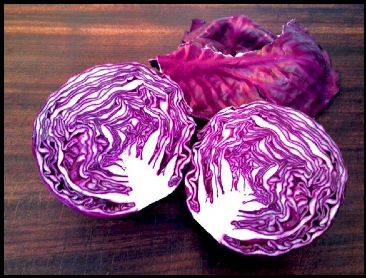 Red Acre Cabbage 300 - 8,000 seeds Heirloom purple tender healthy Leaves Early