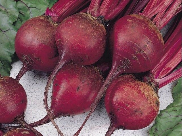 Ruby Queen Beet 60 - 1 LB Seeds Buttery Retains color Exceptionally tender Bulk