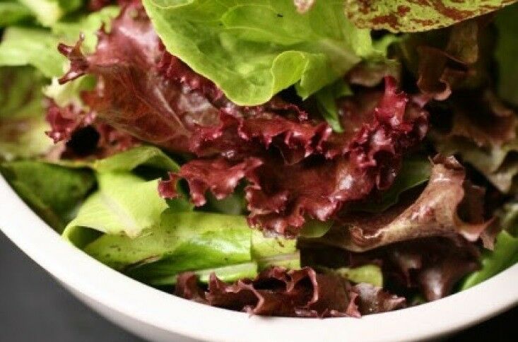 Ruby Red Loose leaf Lettuce 500 - 10,000 SEEDS Heirloom crispy Beautiful Rare