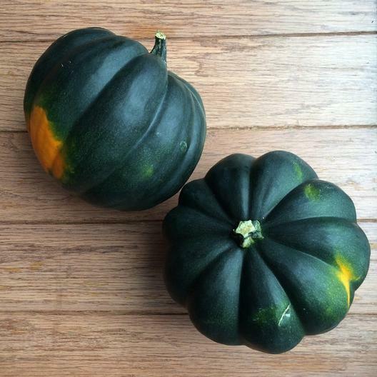 Table King Acorn 10 - 200 Seeds Winter Squash Bush Heirloom Sweet Beautiful Bulk