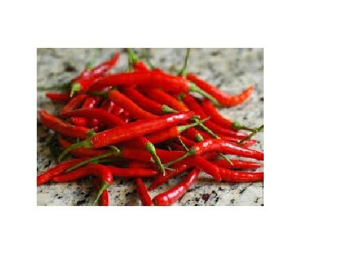 Thai red Hot chili pepper Seeds Heirloom Spicy Asian Cuisine Bangkok Chinese