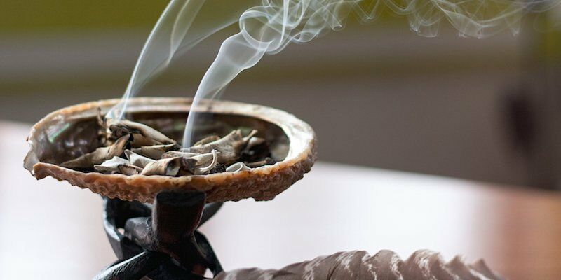 White Sage 20 - 1500 Seeds ORGANIC Herbs Salvia Apiana Medicinal Rare Perennial