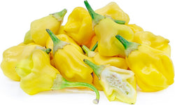 15 seeds Aji Fantasy hot chili pepper bright colored yellow pods Peru rare Heirloom