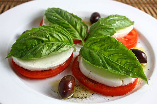 3 (6) Live 4 - 7" inch Seedlings Genovese Basil Culinary Aroma Fresh Herb Pesto