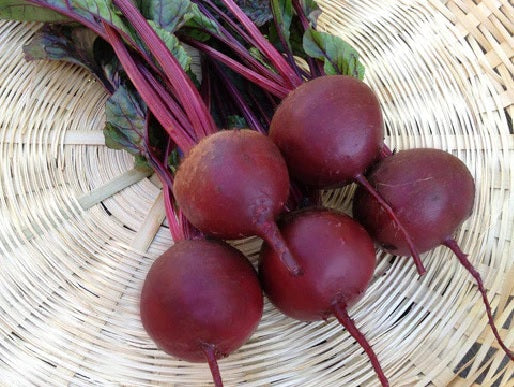 Beets Detroit Dark Red 35 - 8000 Seeds Versatile enjoy globe & leaves! 55 Days Frost Hardy