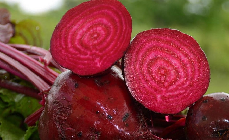 Beets Detroit Dark Red 35 - 8000 Seeds Versatile enjoy globe & leaves! 55 Days Frost Hardy