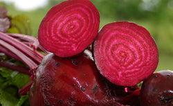 Beets Detroit Dark Red 35 - 8000 Seeds Versatile enjoy globe & leaves! 55 Days Frost Hardy