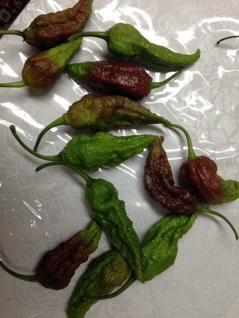 10 Chocolate Brown Bhutlah Seeds Fresh World Record Bhut Jolokia x Douglah HOT