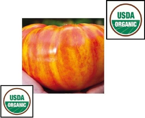 20 seeds Big Rainbow Tomato ORGANIC Heirloom big beefsteak meaty beautiful rare