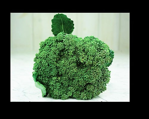 250 Seeds Waltham Broccoli 29 Fresh great for farmers markets Heirloom