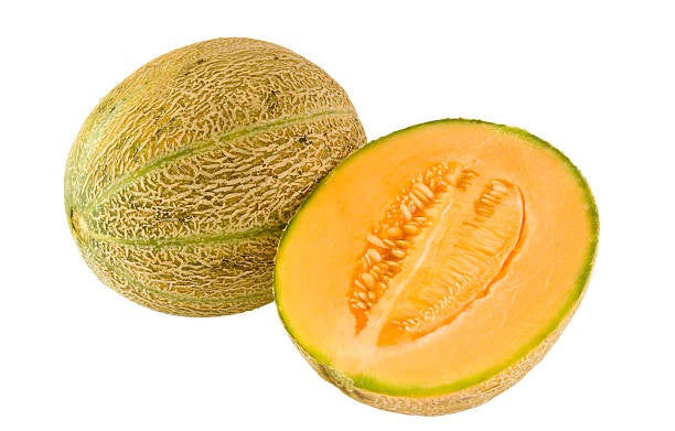 Honey Rock Canteloupe 25 Seeds Sugar Rock compact melon tough rind just 80 days!