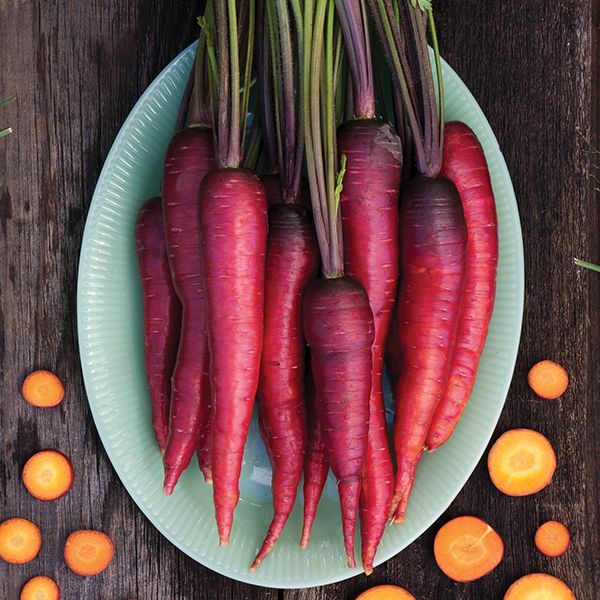 Purple Dragon Carrot 100 - 4,000 Seeds Beautiful color RARE Heirloom Lycopene!