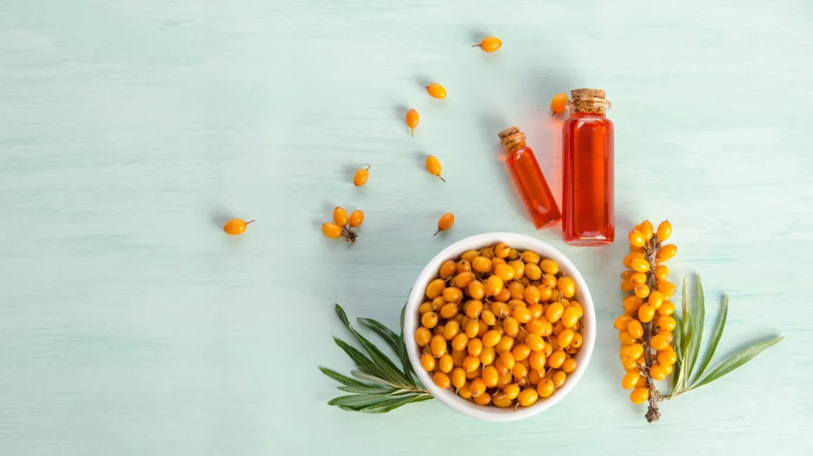 Sea Buckthorn 25 - 100 - 500 Seeds Seaberry Tree Hippophae rhamnoids Shrub 9X Vitamin C!!