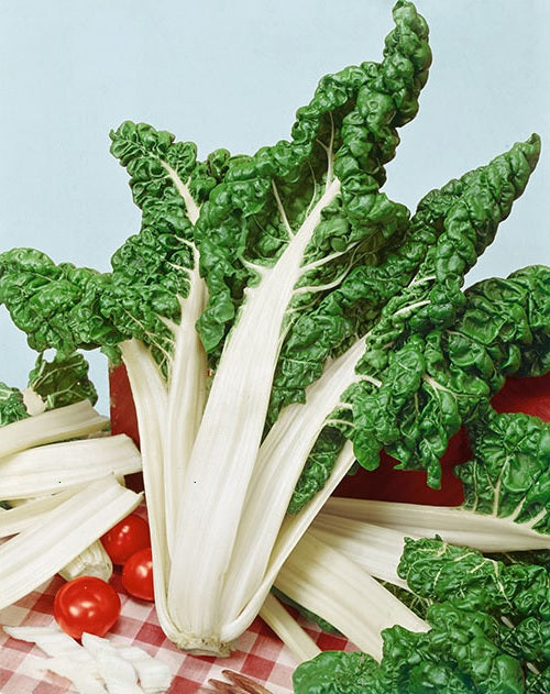Fordhook Giant Swiss Chard 35 - 2000 Seeds Heat Tolerant Salad Greens Heirloom