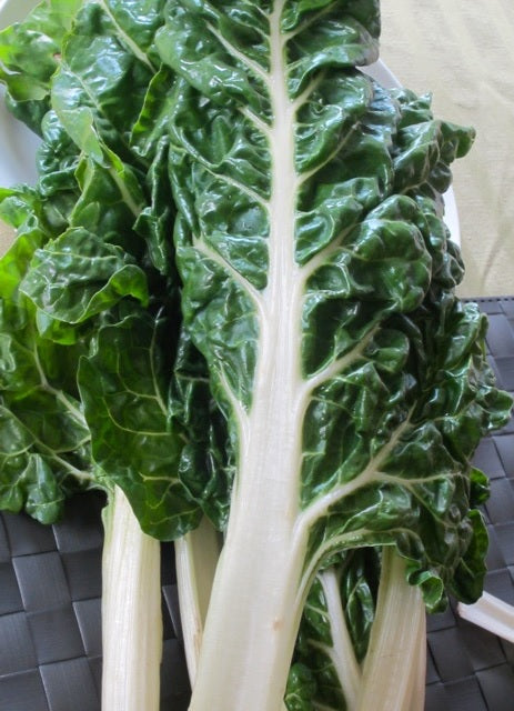 Fordhook Giant Swiss Chard 35 - 2000 Seeds Heat Tolerant Salad Greens Heirloom