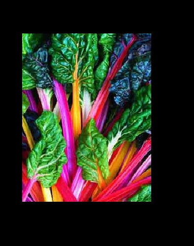 Northern Lights Mix 35 - 2K SEEDS Swiss Chard Heirloom intense colors Bulk