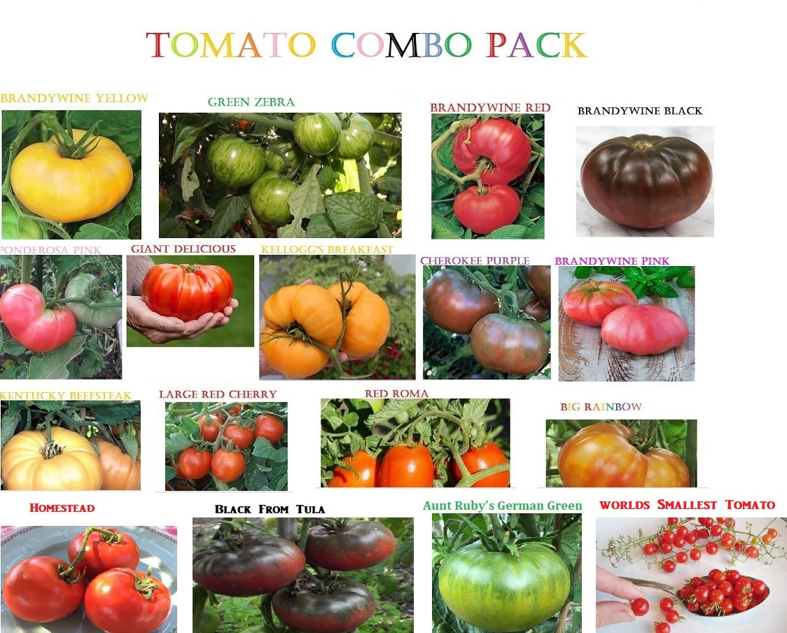 Tomato Seeds Variety list Rare Big Beefsteak Yellow Pink White Brandywine Cherry