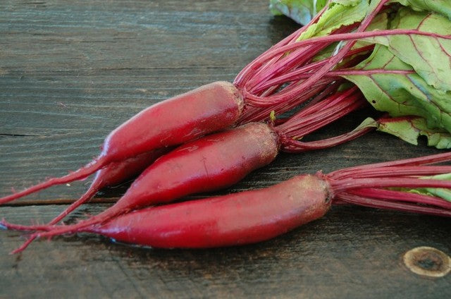 Cylindra Long Red Beet root 50 - 4800 Seeds Heirloom Sweet & Delicious MORE SLICES