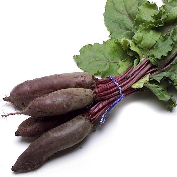 Cylindra Long Red Beet root 50 - 4800 Seeds Heirloom Sweet & Delicious MORE SLICES