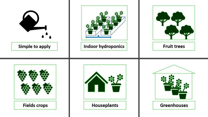 BotanoHealth 2 in 1 Organic Fungicide Insecticide  250ML, 1 Liter, 5 Liters Disease & Insect Prevention & Control