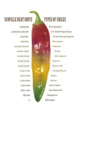 25 Red Bhut Jolokia Seeds Ghost Pepper Naga Jolokia HOT Chilli *900K-1.1M+ SHUS
