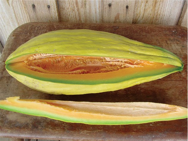 Banana melon 20 - 100 seeds rare sweet Heirloom cantaloupe musk big Heirloom 24"