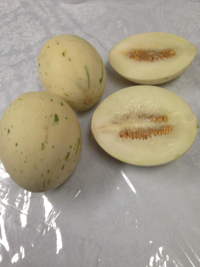 10 Snow Leopard Melon Seeds Unique Beautiful Rare White flesh fruit Asian small