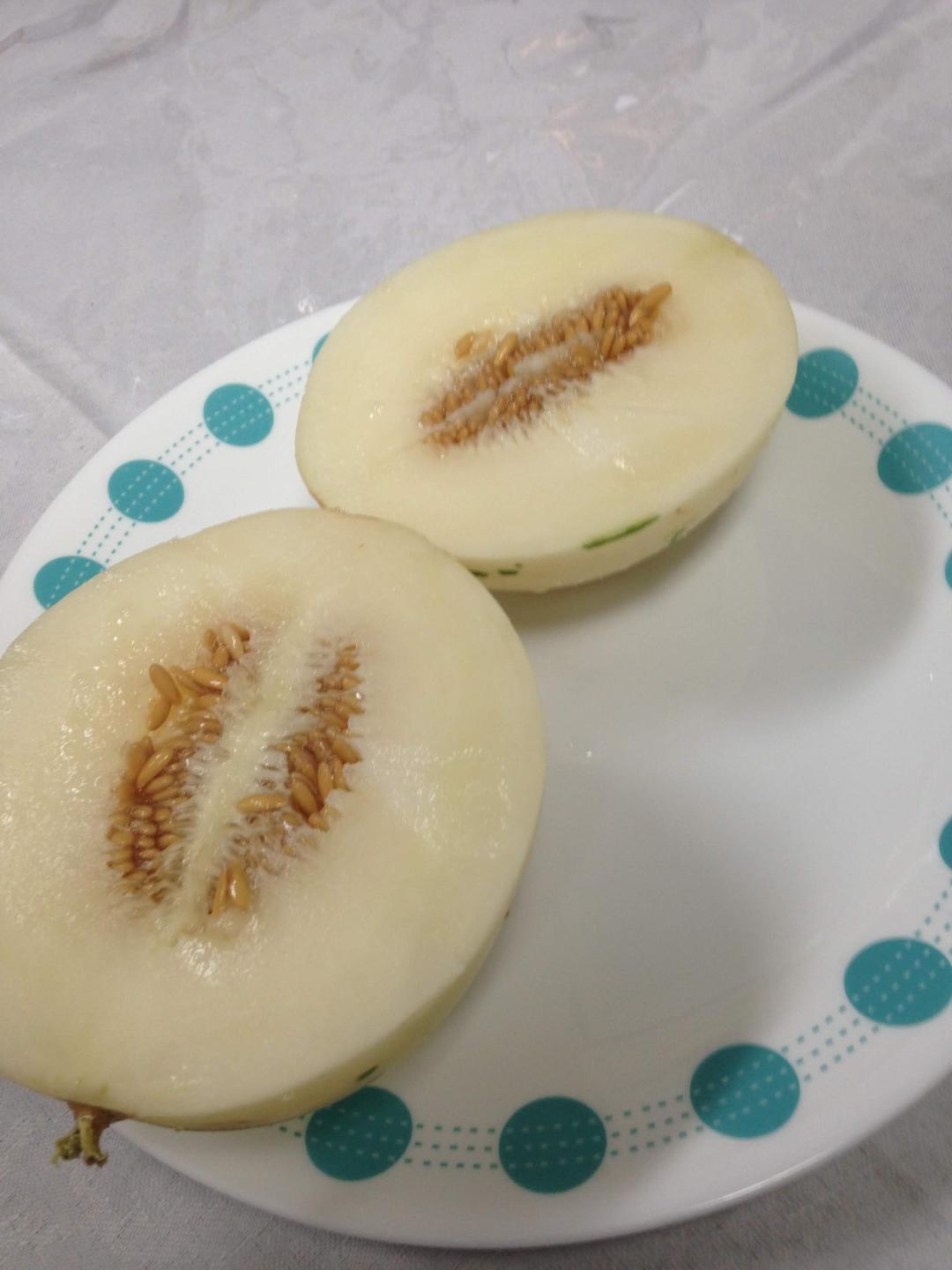 10 Snow Leopard Melon Seeds Unique Beautiful Rare White flesh fruit Asian small