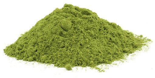 PRE ORDER 3 Live 7 - 12" inch Seedlings Moringa Oleifera Trees SUPERFOOD! Drumstick Health