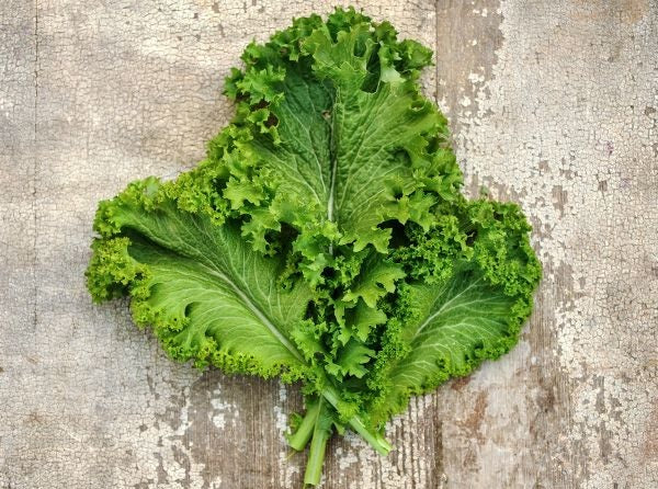 Green Wave Mustard 150 - 3000 Seeds Tender Cold Hardy Sharp & Spicy! Micro Greens!