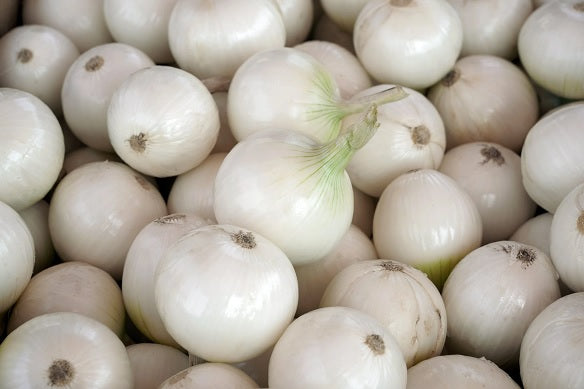 Crystal White Wax Pearl Onion 150 - 2000 Seeds Pickling Cocktails High Yields!