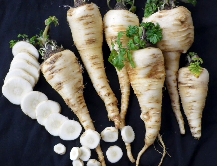 Harris Model Parsnip 100 - 4000 Seeds Heirloom Early good storage Hardy Nutty