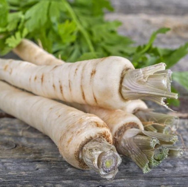 Harris Model Parsnip 100 - 4000 Seeds Heirloom Early good storage Hardy Nutty