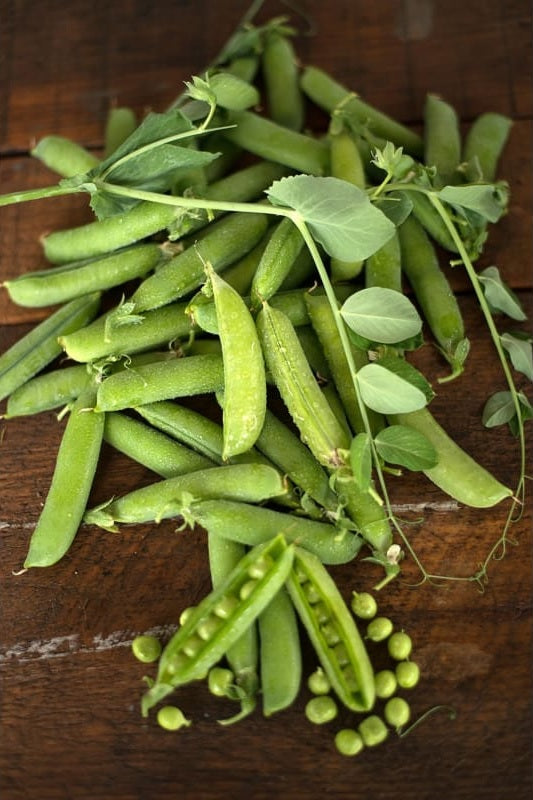 Early Frosty Peas Garden Peas 10 Seeds - 1 LB Cold Hardy Short season thriver!