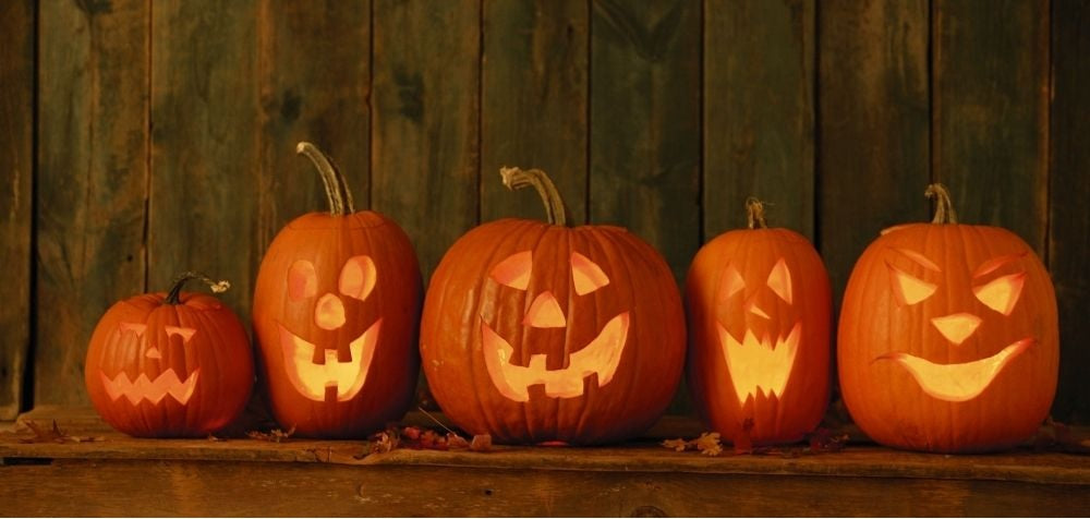 JACK-O-LANTERN Pumpkin 100 - 800 Seeds Great for Carving & Pie! Heirloom NON-GMO